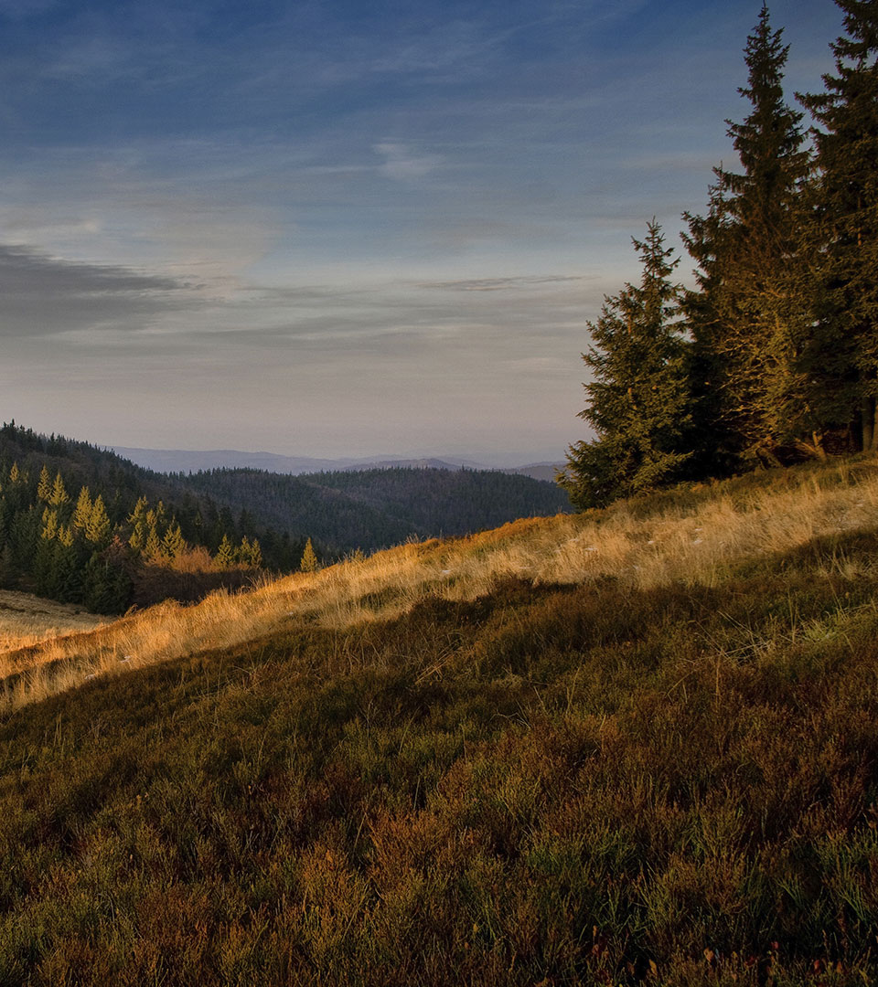 Beskid Sądecki | TWOJA-WODA.PL